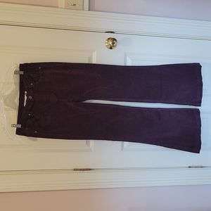 PRICE DROP Velvet boot leg jeans